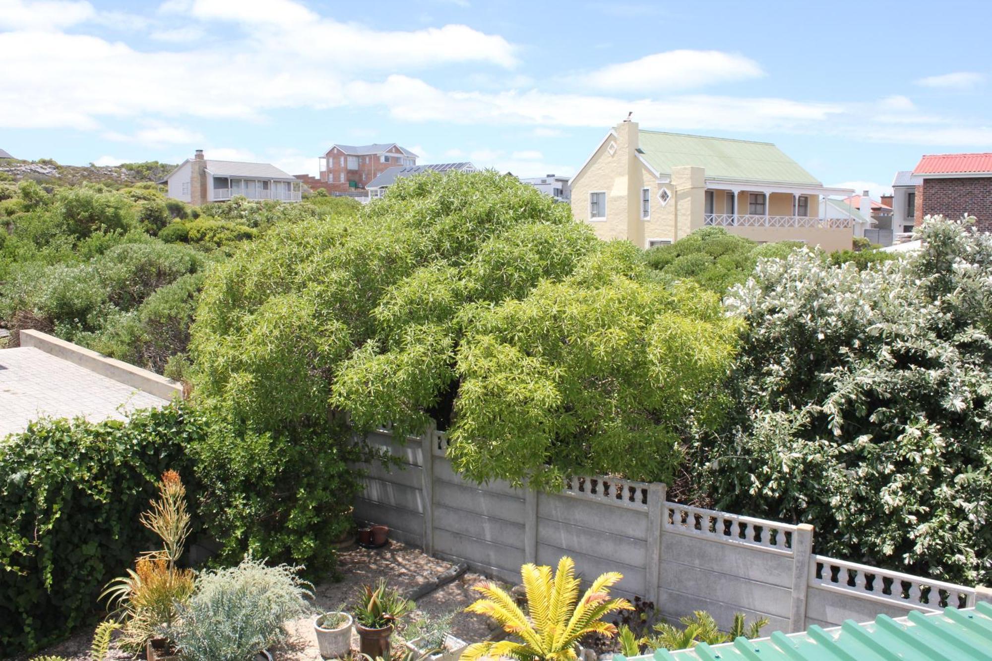 The Sun Catcher Bed & Breakfast Struisbaai Pokoj fotografie